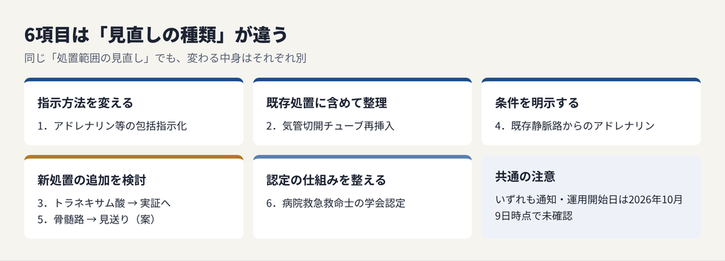 6項目は見直しの種類が違うことを示す分類図。指示方法を変える：1 アドレナリン等の包括指示化。既存処置に含めて整理：2 気管切開チューブ再挿入。条件を明示する：4 既存静脈路からのアドレナリン。新処置の追加を検討：3 トラネキサム酸は実証へ、5 骨髄路は見送り（案）。認定の仕組みを整える：6 病院救急救命士の学会認定。共通の注意：いずれも通知・運用開始日は2026年10月9日時点で未確認